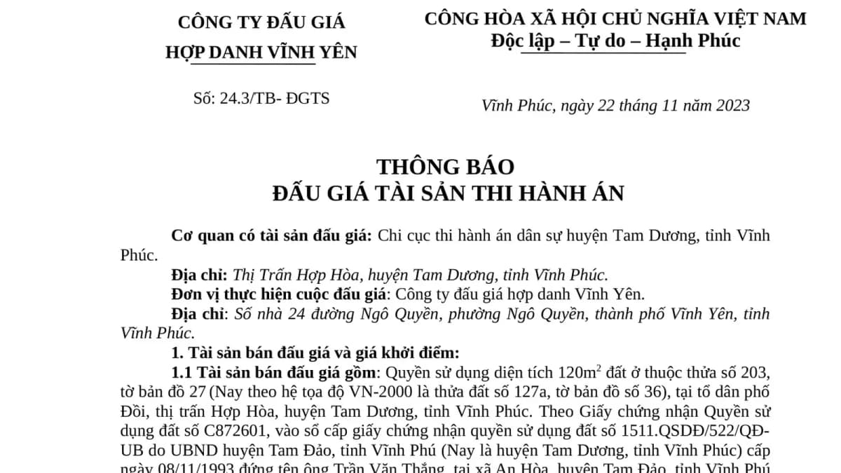 thong-bao-dau-gia-tai-san-tha-huyen-tam-duong.jpg