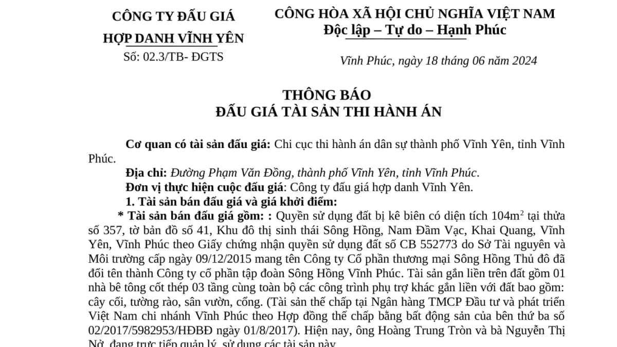 thong-bao-dau-gia-tai-san-tha-khai-quang.jpg