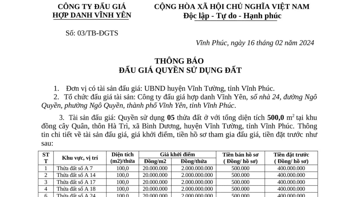 thong-bao-dau-gia-05-thua-dat-xa-binh-duong-huyen-vinh-tuong.jpg