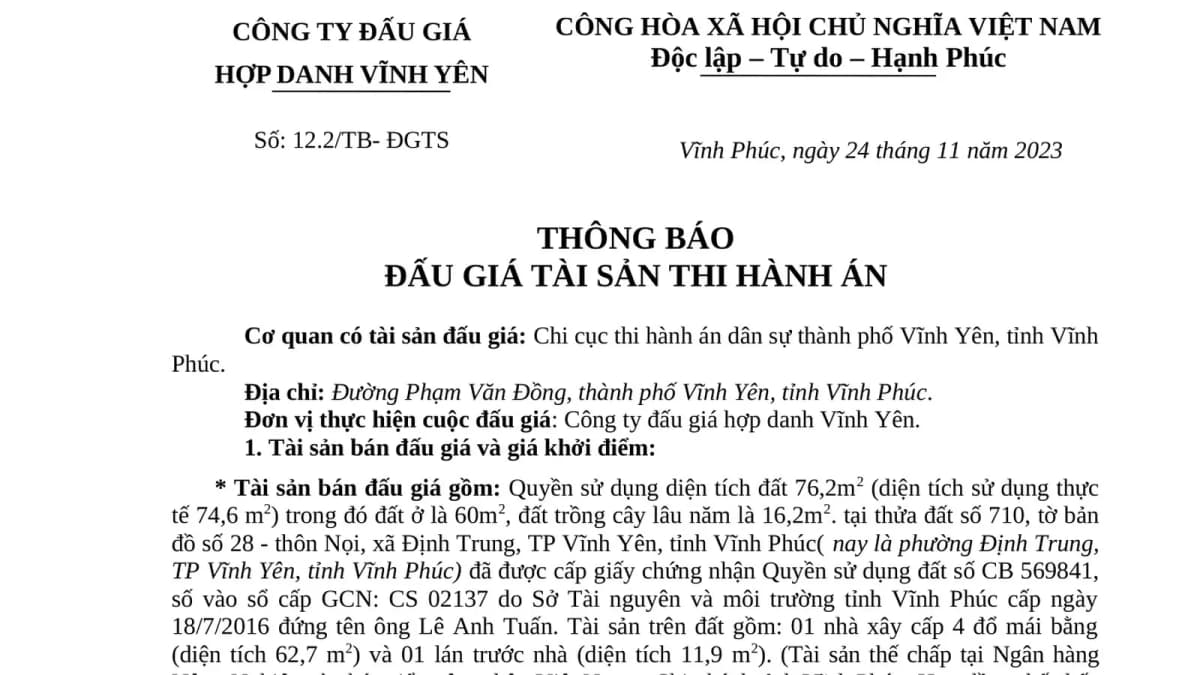 thong-bao-dau-gia-tai-san-thi-hanh-an-dinh-trung-vinh-yen.jpg