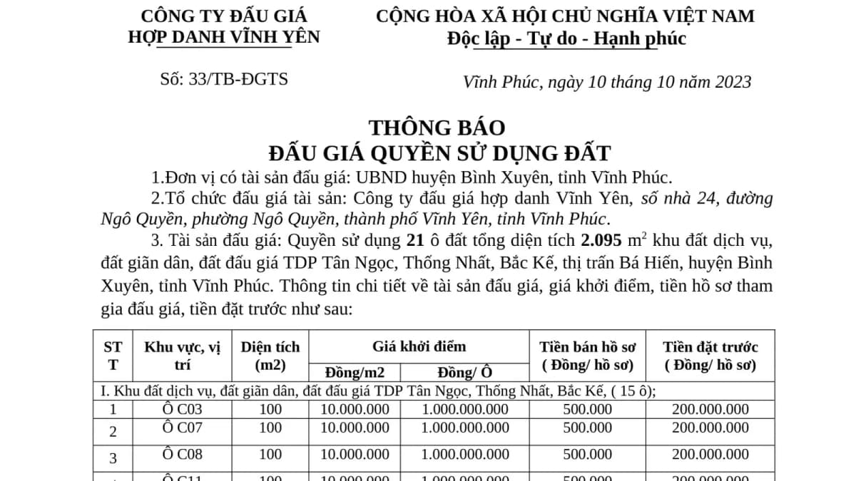 Thông báo đấu giá QSD 21 thửa đất khu Tân Ngọc-Thống Nhất- Bắc Kế Tt Bá Hiến